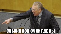  собаки вонючии где вы