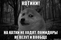 котики! на катки не ходят, помидоры не везут и вообще
