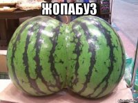 жопабуз 
