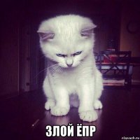  злой ёпр