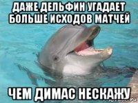 даже дельфин угадает больше исходов матчей чем димас нескажу
