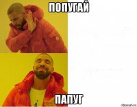 попугай папуг