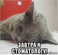  завтра к стоматологу!