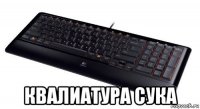  квалиатура сука