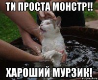 ти проста монстр!! хароший мурзик!