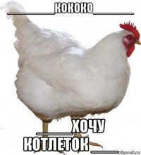_______кококо______ ____хочу котлеток ___