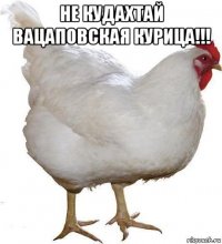 не кудахтай вацаповская курица!!! 