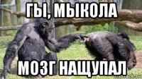 гы, мыкола мозг нащупал