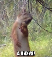  а нихуя!