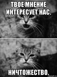 твое мнение интересует нас. ничтожество.