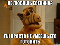 не любишь есенина? ты просто не умеешь его готовить