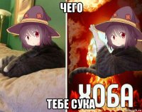 чего тебе сука