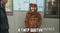  я тигр шатун