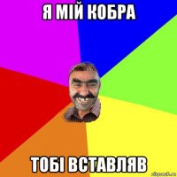 я мій кобра тобі вставляв