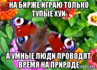 на бирже играю только тупые хуи а умные люди проводят время на природе