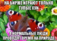на бирже играют только тупые хуи а нормальные люди проводят время на природе