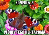 хочешь, я угощу тебя нектаром?