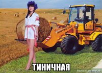  тиничная