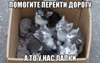 помогите перейти дорогу а то у нас лапки
