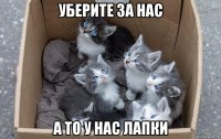 уберите за нас а то у нас лапки
