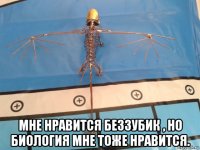  мне нравится беззубик , но биология мне тоже нравится.
