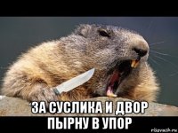  за суслика и двор пырну в упор