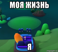 моя жизнь я