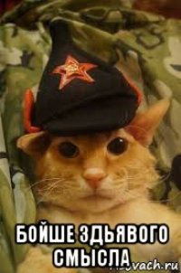  бойше здьявого смысла