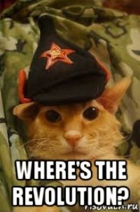  where's the revolution?