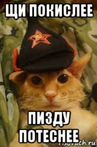 щи покислее пизду потеснее
