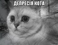 депресія кота 