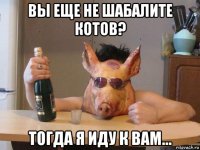 вы еще не шабалите котов? тогда я иду к вам...
