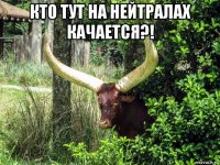 кто тут на нейтралах качается?! 