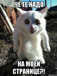 че те надо на моей странице?!