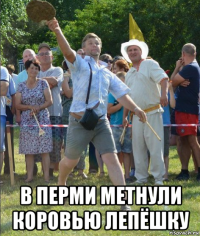 в перми метнули коровью лепёшку