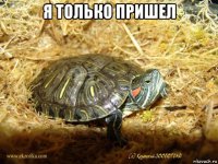 я только пришел 