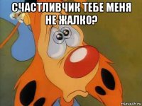 счастливчик тебе меня не жалко? 