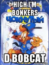 high i'm bonkers d bobcat