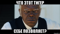 что этот тигер себе позволяет?