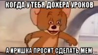 когда у тебя дохера уроков а иришка просит сделать мем