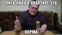 пить пиво в квартире это норма