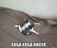  хоба хоба нихуя