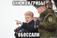 они мои грибы обоссали