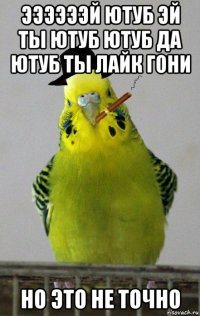 ээээээй ютуб эй ты ютуб ютуб да ютуб ты лайк гони но это не точно