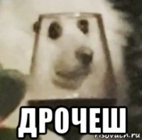  дрочеш