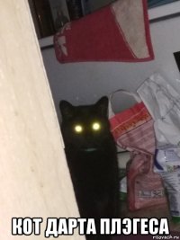  кот дарта плэгеса