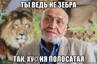 ты ведь не зебра так, ху@ня полосатая