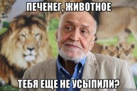 печенег, животное тебя еще не усыпили?