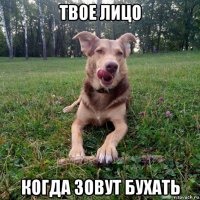 твое лицо когда зовут бухать
