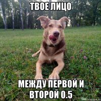 твое лицо между первой и второй 0.5